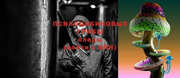 соль ск Надым