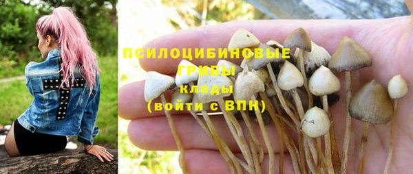 соль ск Надым