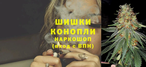 соль ск Надым