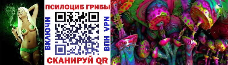 Галлюциногенные грибы Psilocybe  Гвардейск 