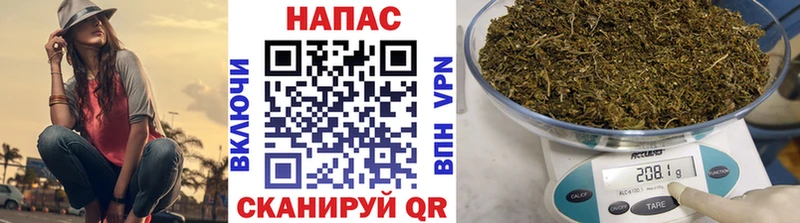 наркота  Гвардейск  Шишки марихуана White Widow 